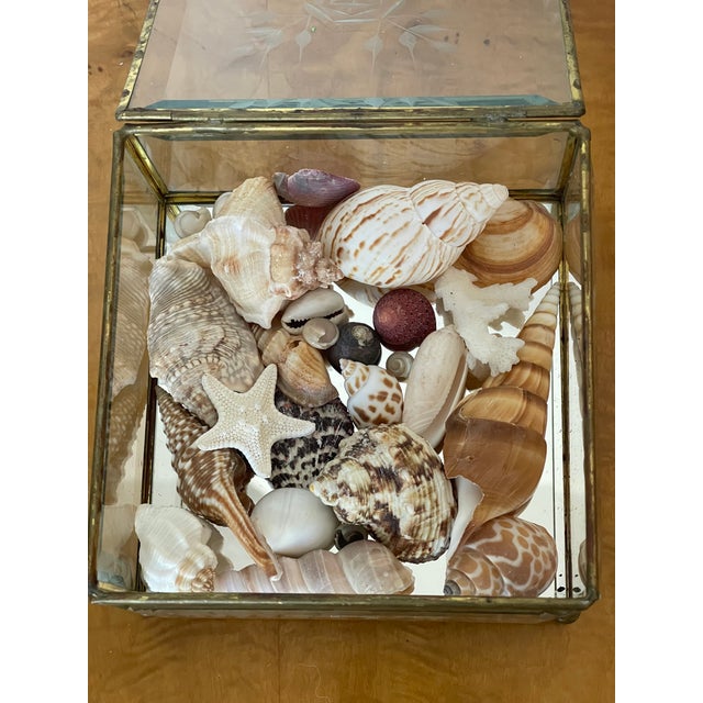 Antique Crystal Bevelled Glass Brass Box With Sea Shells For Sale - Image 9 of 9