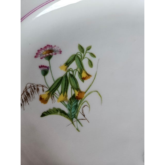 19th Century Antique Old Paris Platters With Wildflowers and a Raspberry Pink Border - A Set For Sale - Image 5 of 8