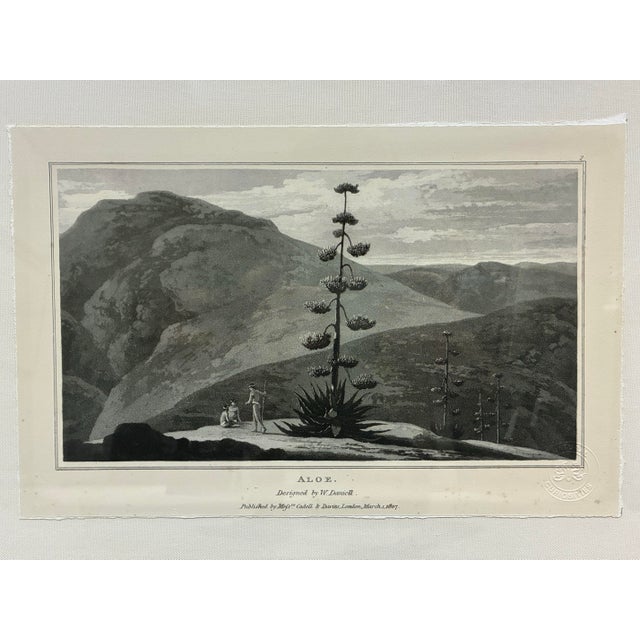 Decorative framed botanical landscape print by Natural Curiosities, reproducing William Daniell’s early-19th-century image...