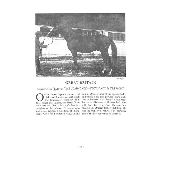 "Thoroughbred Types 1900-1925: Race Horses, Steeplechasers, Hunters, and Polo Ponies" 1926 Vosburgh, w.s. For Sale In New York - Image 6 of 12