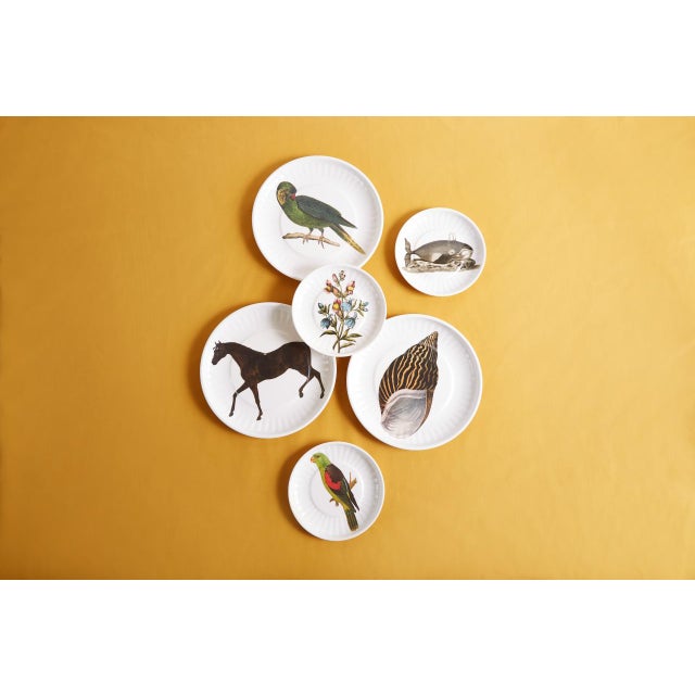 Whale Small Paper Plates Melamine, Set of 4 For Sale - Image 4 of 4