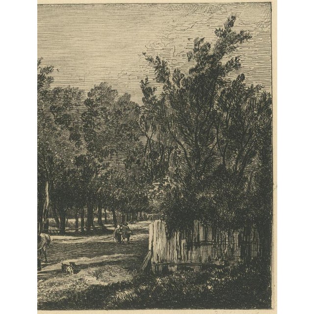 19th Century Chattock, Lane with Cattle After John Crome, 1875, Paper Etching For Sale - Image 5 of 9