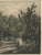 19th Century Chattock, Lane with Cattle After John Crome, 1875, Paper Etching For Sale - Image 5 of 9