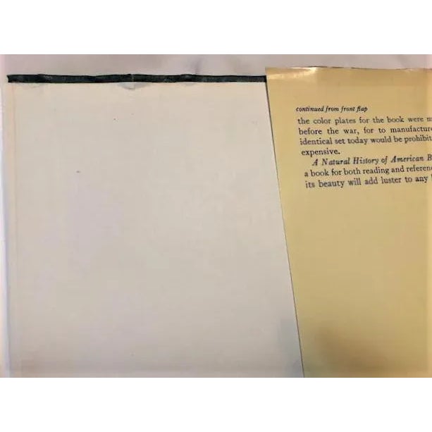 Natural History of American Birds of Eastern & Central America Book For Sale - Image 9 of 11