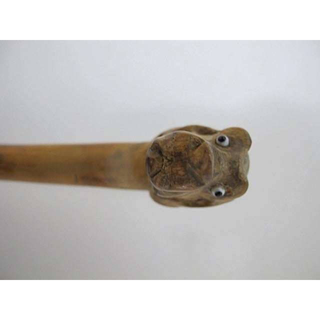 Antique Dog Head With Beady Eyes Hand Carved Folk Art Walking Stick Cane For Sale - Image 4 of 9
