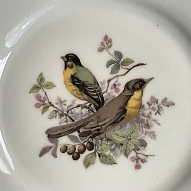 Mid 20th Century Porcelain Song Bird Plates JKW Western Germany, Set of 6 For Sale - Image 10 of 18