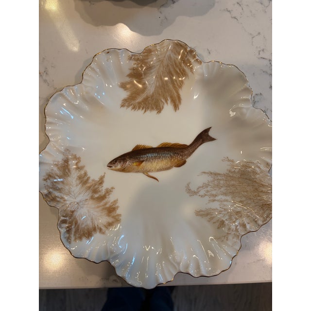 Antique Plates Limoges Gold Rimmed (14 Piece Set) For Sale - Image 13 of 17