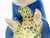 Ceramic Madonna Hand-Decorated by Paola Bologna for Lenci, Turin, 1935 For Sale - Image 6 of 18