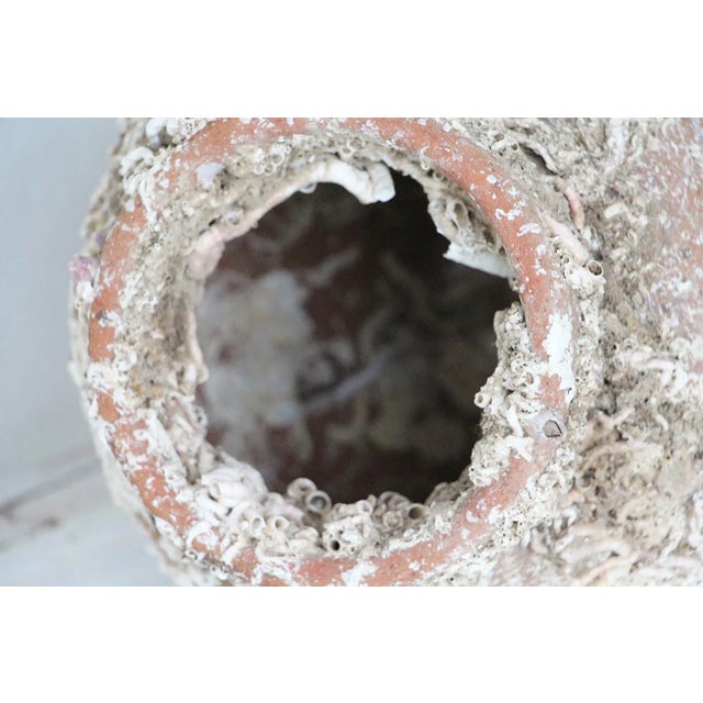 Beige 19th Century Terracotta Octopus Trap Vase For Sale - Image 8 of 12