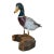 Vintage Lifesize Hand Carved Wood Folk Art Mallard Duck Decoy Sculpture Statue For Sale