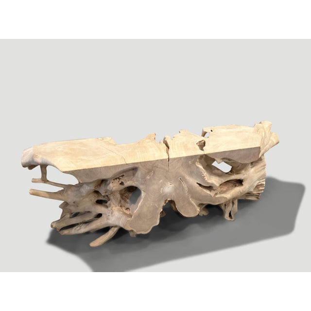Contemporary Andrianna Shamaris Impressive Bleached Teak Wood Root Console Table For Sale - Image 3 of 6