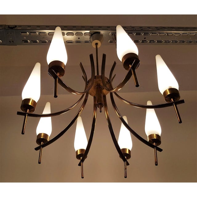 Italian Tulip Shade Chandelier, 1950s For Sale - Image 3 of 4