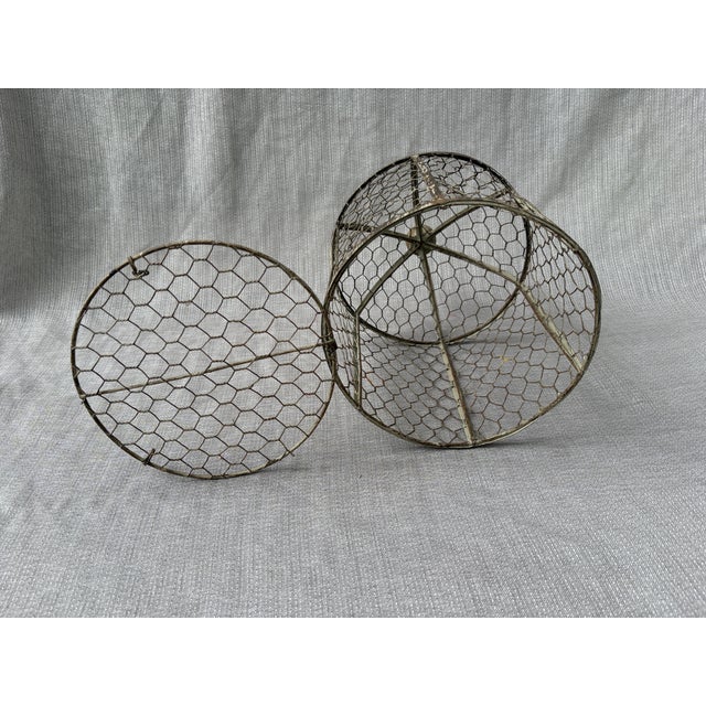 Vintage Indoor Wire Birdcage Garden Cloche For Sale - Image 12 of 17