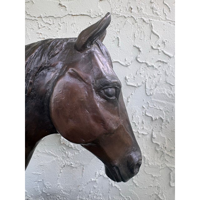 1970s Mid-Century Modern Cast Metal Horse Head Sculpture on Walnut Base, Bronze Finish For Sale - Image 4 of 12