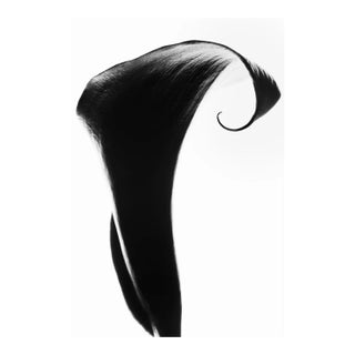 Original Photography by Cyrille Druart For Sale