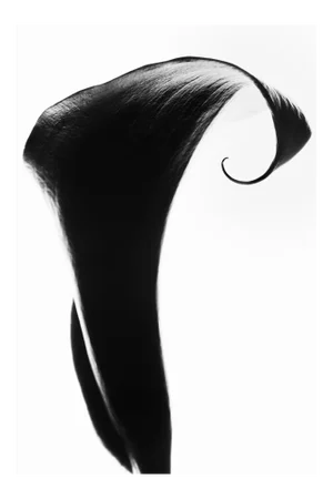 Original Photography by Cyrille Druart