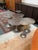 Contemporary Bernhardt Cerchi Outdoor Coffee Table For Sale - Image 3 of 16