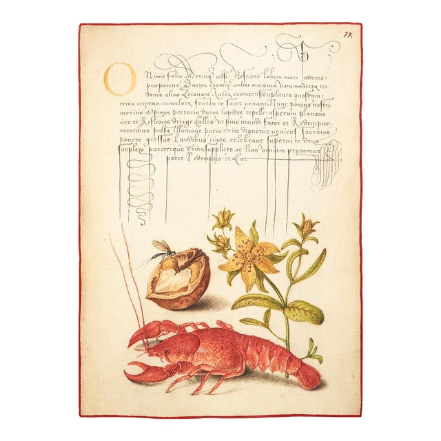 Botanical Crayfish Tea Towel For Sale