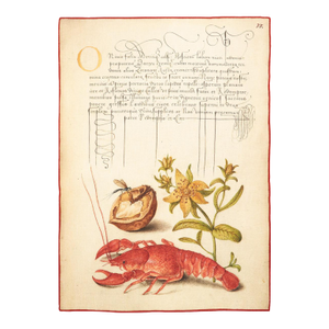 Botanical Crayfish Tea Towel