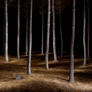 Filipe Condado, Untitled, Photography For Sale