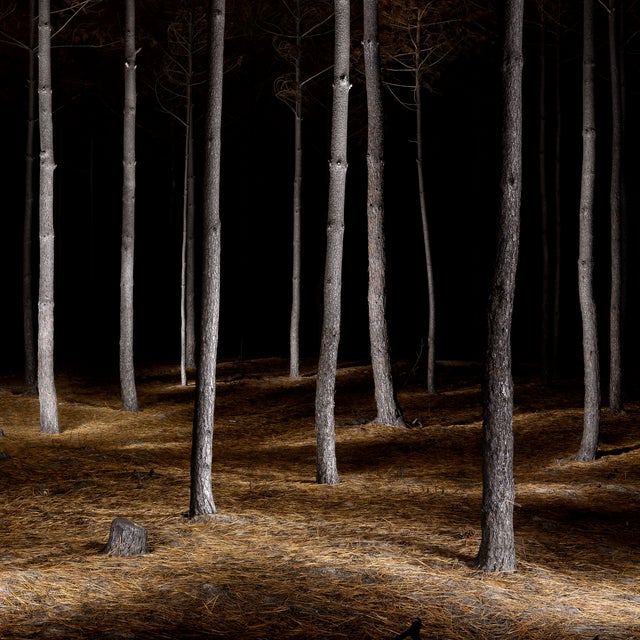 Filipe Condado, Untitled, Photography For Sale