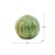 A generous sphere wrapped in a verdant, ridged glaze, this Tamegroute piece captures the plump, tactile form of a desert...