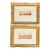 Vintage Fabio Baldan Venetian Aquatint Engravings in Gilt Frames - Pair For Sale