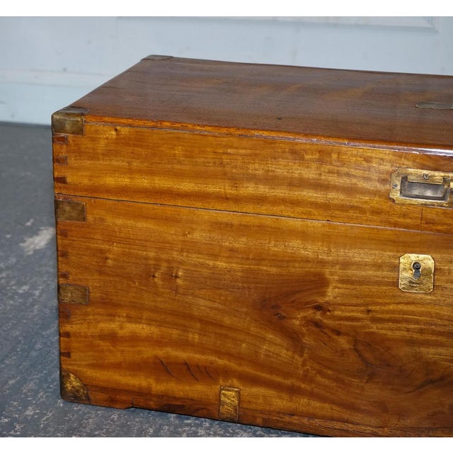 Antique English Camphor Wood Storage Trunk, 19th Century For Sale - Image 5 of 18