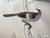 Not Yet Made - Made To Order Grey Chinoiserie Mural | 2-Panel Hand-Painted Floral & Bird Wallpaper For Sale - Image 5 of 6