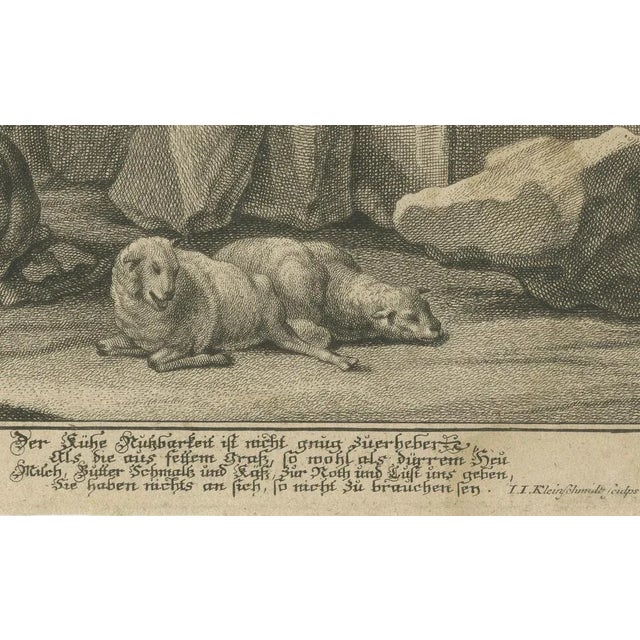 Johann Jakob Kleinschmidt, Shepherd, Cattle, and Ruins, 1800s, Engraving For Sale - Image 3 of 7