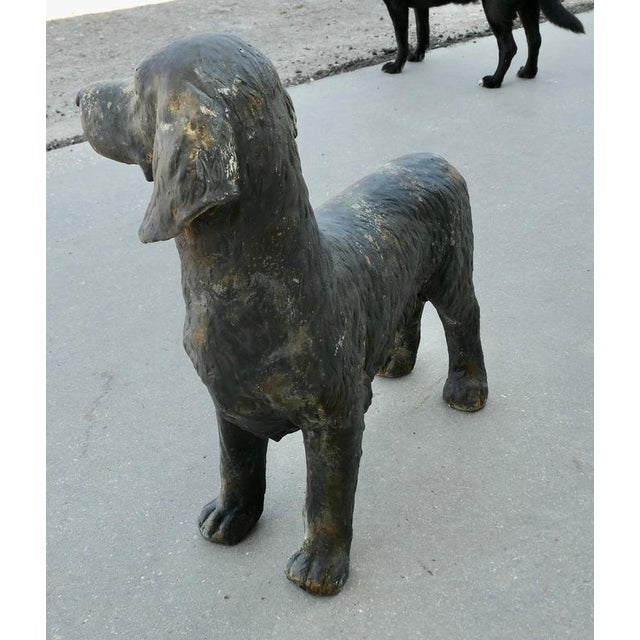 French Hunting Spaniel Standing Statue, 1920s For Sale - Image 6 of 11