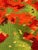 Modern Aubusson Tapestry by Artdad, 1980s For Sale - Image 15 of 18