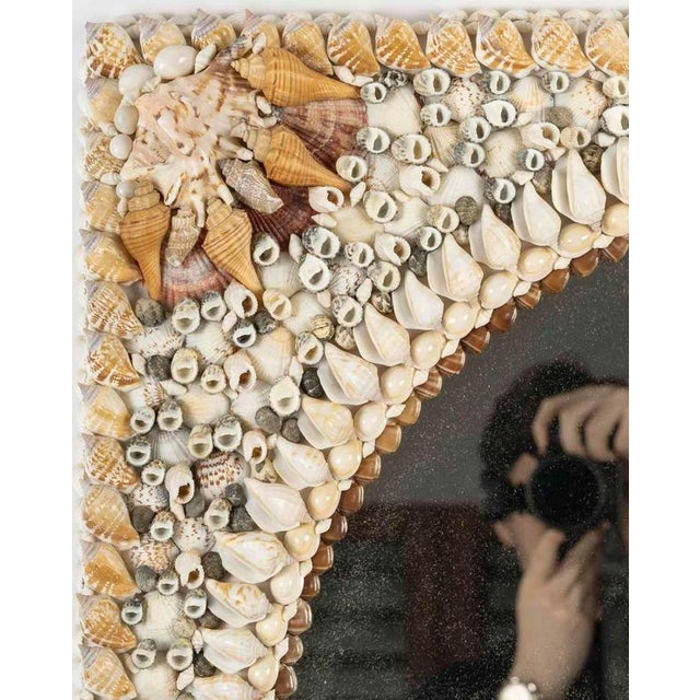 20th Century Shell Mirror For Sale - Image 3 of 9