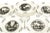 American Mid 20th Century English Wedgwood Williamsburg Restoration Transferware Plates, Set of 12 For Sale - Image 3 of 14