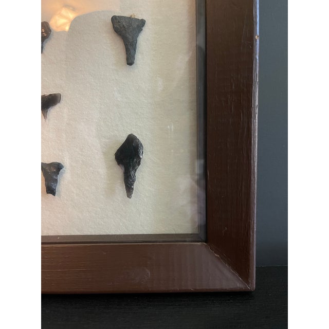 Wood Framed Native American Obsidian & Dacite Arrowhead and Tool Collection For Sale - Image 7 of 7