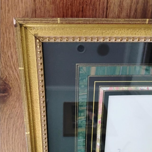 Rare John Gould & Richter Framed Toucan Litho Mid 19th Century Many-Banded Aracari "Pteroglossus Pluricinctus" 28x22 For Sale - Image 11 of 16