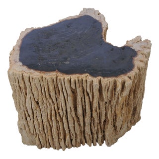 Petrified Wood Side Table by Xyleia Petrified Wood For Sale