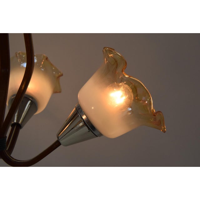 Mid-Century Chandelier, 1960´s For Sale - Image 14 of 18