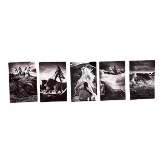 Vintage Cavalia Set of Five Post Card Prints Black and White Canada For Sale