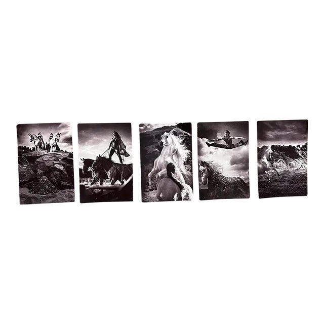 Vintage Cavalia Set of Five Post Card Prints Black and White Canada For Sale
