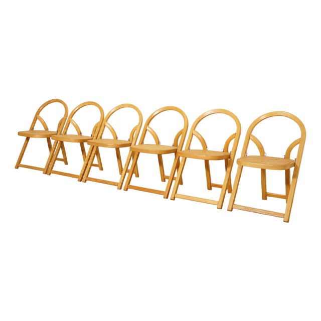 Arca Chairs by Gigi Sabadin for Crassevig, 1960s, Set of 6 For Sale