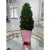 Candy Cane Trellis Holiday Enameled Cachepot For Sale - Image 9 of 9