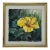 Patti Touchton Original Watercolor Yellow Hibiscus Florida Botanical Painting For Sale