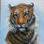 1970’s vintage tiger portrait painting. Signed and framed. Measures 8x10 or 9x11 with frame.