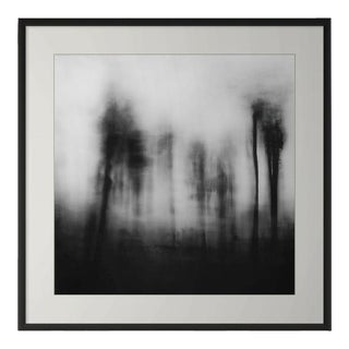 20" X 20" 'Blurred Landscape' #2 Black and White Photography For Sale