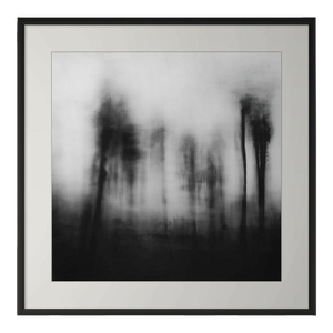 20" X 20" 'Blurred Landscape' #2 Black and White Photography