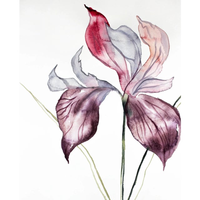 Original watercolor painting on 140 lb cold press paper Artist: Elizabeth Becker Year: 2019 Image and Paper Size: 16" x...