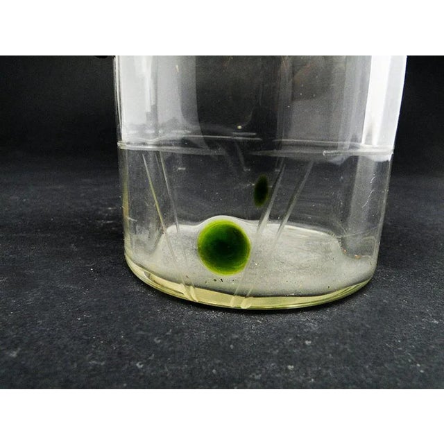 Metal Art Nouveau Milk Jug, Former Austro-Hungarian Empire, Early 1900s For Sale - Image 7 of 8