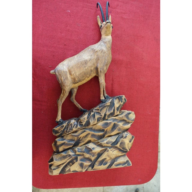 Black Forest German Chamois Ibex For Sale - Image 4 of 4