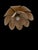 Beige Vintage Petal Pendant Light, 1970s For Sale - Image 8 of 13